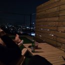 냥이네 하우스 이미지