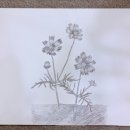 바스키아미술교습소