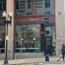 비컨힐인터내셔널 | [미국/동부🇺🇸] 12월 보스턴 여행 1일차 (1) : 하버드 대학교, Tatte 타테 베이커리