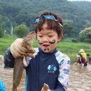 양평메기수염축제 이미지