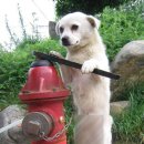 목마르지 이미지