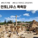 튀니지 여행, 튀니스 안토니우스 목욕장, 카르타고 로마 유적지