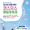 경서대로 | 하동 북천 코스모스와 메밀꽃 축제 기본정보 및 후기