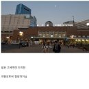 구글 평점 1.8 짜리 일본 숙박시설ㄷㄷ.jpg 이미지