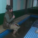 유로빌 이미지