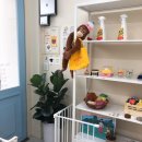 바브로(babro) 이미지