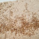 자동차주치의 닥터윤 이미지