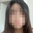 펠로살롱 이미지