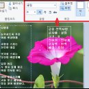 윈도우 보조프로그램 '그림판'으로 사진에 글 올리기 이미지