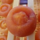 요제농장 이미지