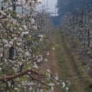 (주)양달말 이미지