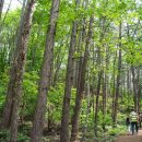 한화리조트/평창 이미지