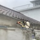 위시유어히어 이미지
