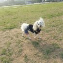 (주)다담 이미지