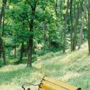 봉림중학교 이미지