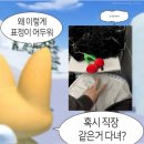 WR(대구광역시 중구)-50[국채보상로]-하-22 | 030 • 그냥 걸었어 중독자의 걷고 걷고 또 걷고 ...