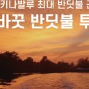 에스엠투어 네이버블로그