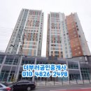 마동코아루디펠리 이미지