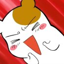 (주)허니문투어 이미지