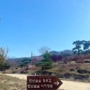 훼임 | [경북 여행] 칠곡 가산수피아 가족 모임 너무 좋음! 카페 모하 후기 / 장천 맛집 훼임