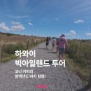 빅아일랜드