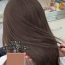 컬러하우스 이미지