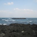 돈키호테 발전소 이미지