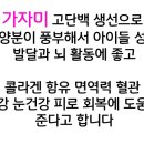 태흥수산