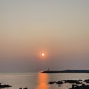 미영목장 이미지