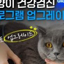 스무살의꿈동물병원