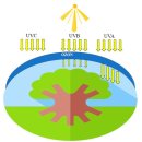 Re: plant 2차 대사산물 polyphenols ... 이미지