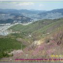 남구-87 이미지