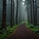 비학산자연휴양림 이미지