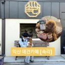 익산구시장 | [익산/구시장] 속리카페 애견동반 2층 이용 솔직후기(내돈내산)