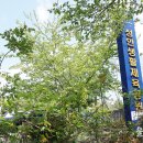 미골농장 이미지