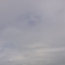 능포항 수변공원 이미지