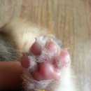 세광상사 이미지