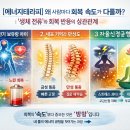 디톡더퓨어
