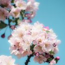 은행고등학교 이미지