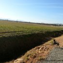 김철수농장 이미지