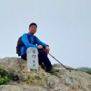 청룡사밑 안민도로변 | 시루봉,웅산 / 창원