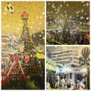 삼성도서관 | 삼성 코엑스 크리스마스 별마당도서관 대형트리 본 후기 기본정보