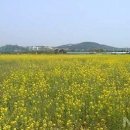 아암도해양공원