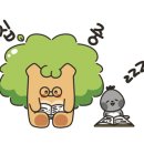 진도포차 이미지