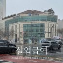 반포대로24길 42-17 | 2025년 실업급여 신청 방법 및 1차 수급 후기