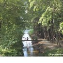 병기목장 이미지