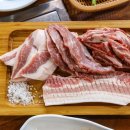 동홍돈