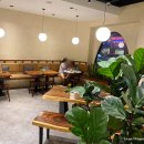 카페콩(cafe bean) 이미지