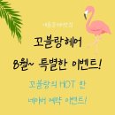 꼬블랑헤어 - 성남시 중원구 박석로15번길 34-1 | 꼬블랑헤어