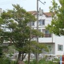 남애초등학교 이미지